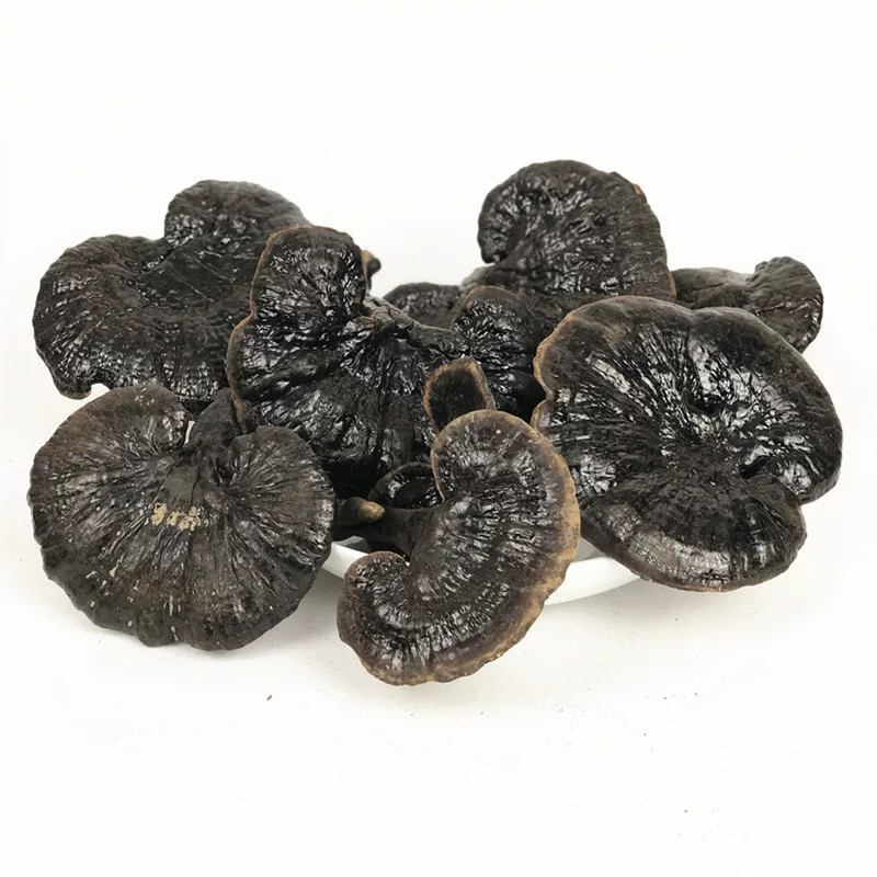 高海拔优选 黑灵芝 500g 小雪专属