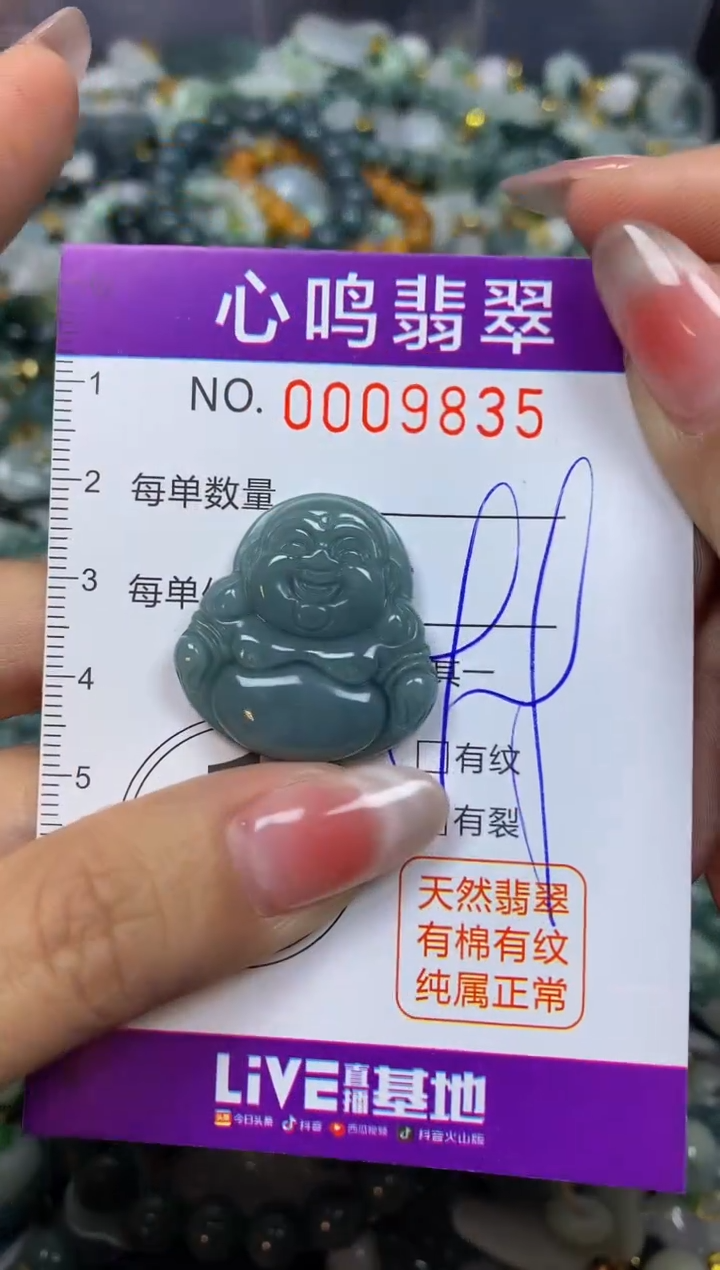 【闪购商品】翡翠颈饰未镶嵌闪购009835