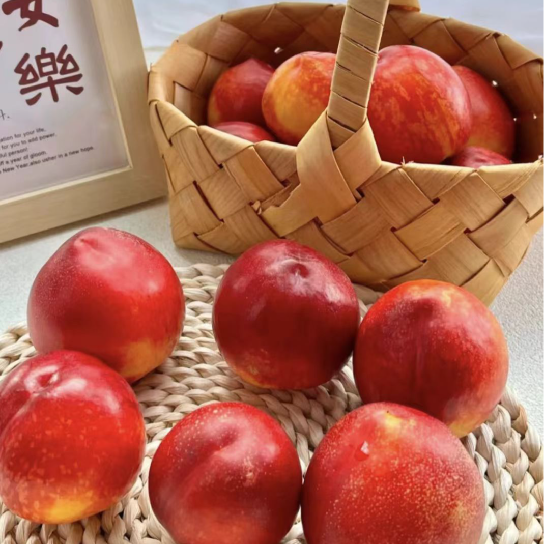 沂蒙山头茬露天红油桃5斤装当季新鲜水果桃子山东省