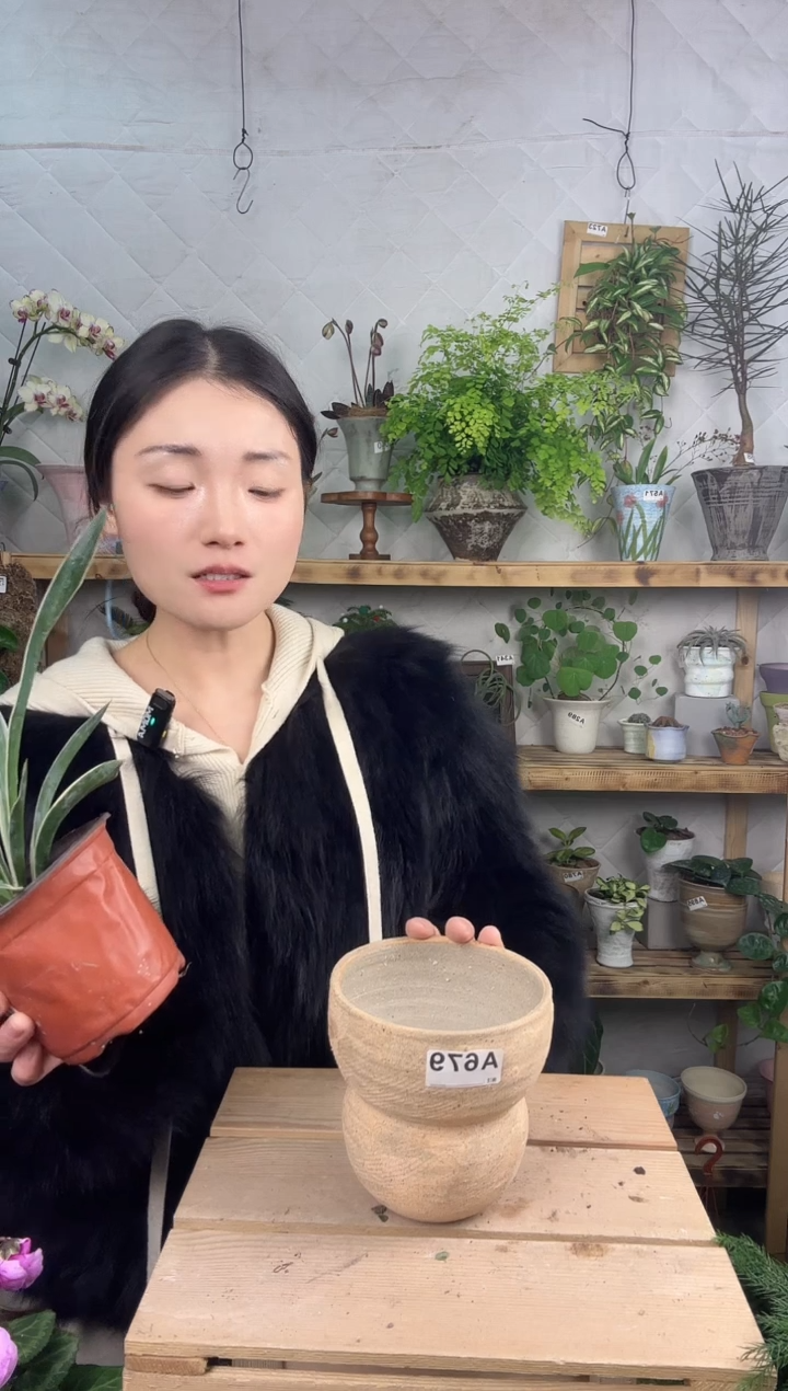 无花朵编号 679  景德镇手工花盆