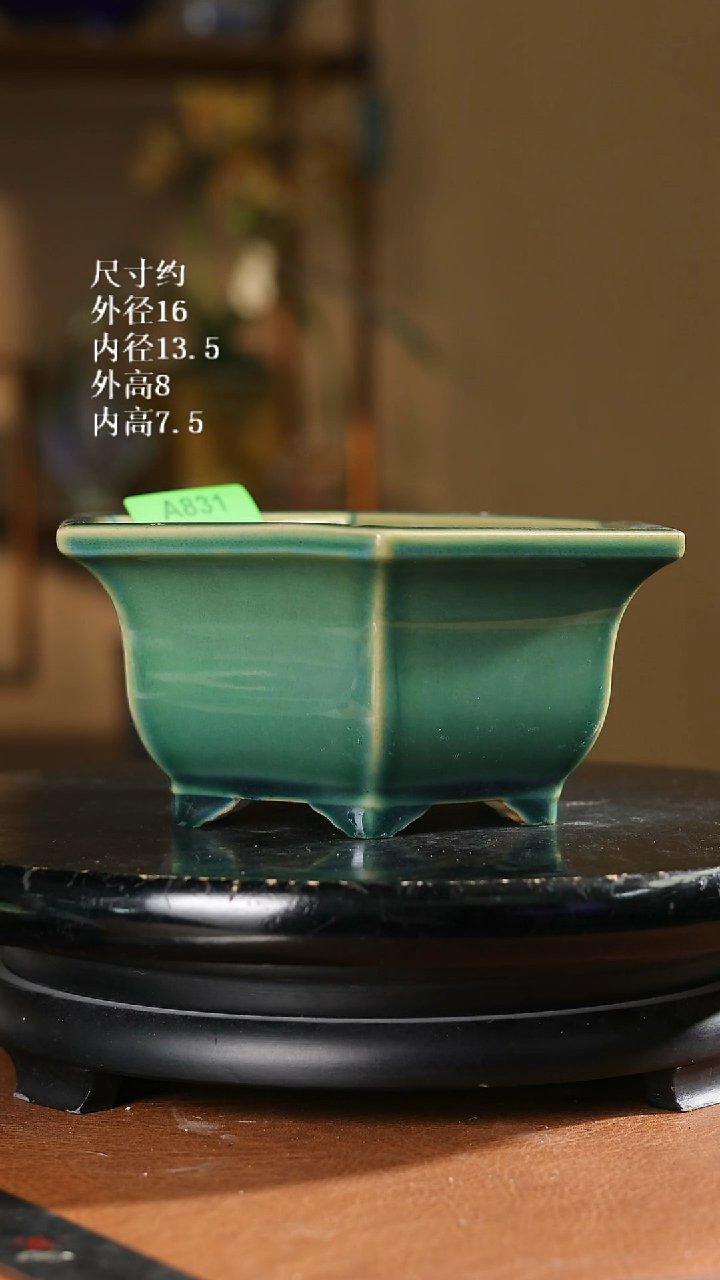 831    7寸矮六角盆
