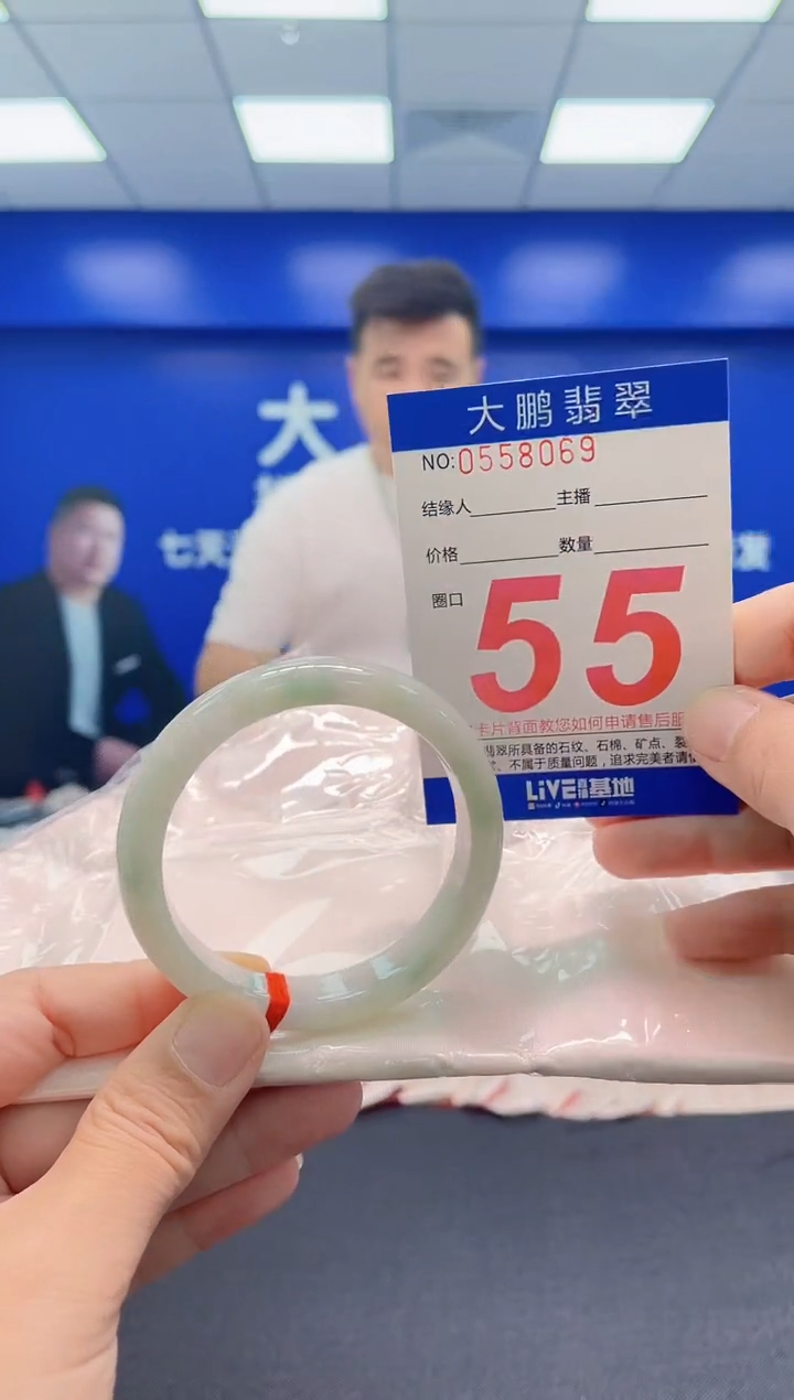 未镶嵌手镯翡翠AAAAAAAAA