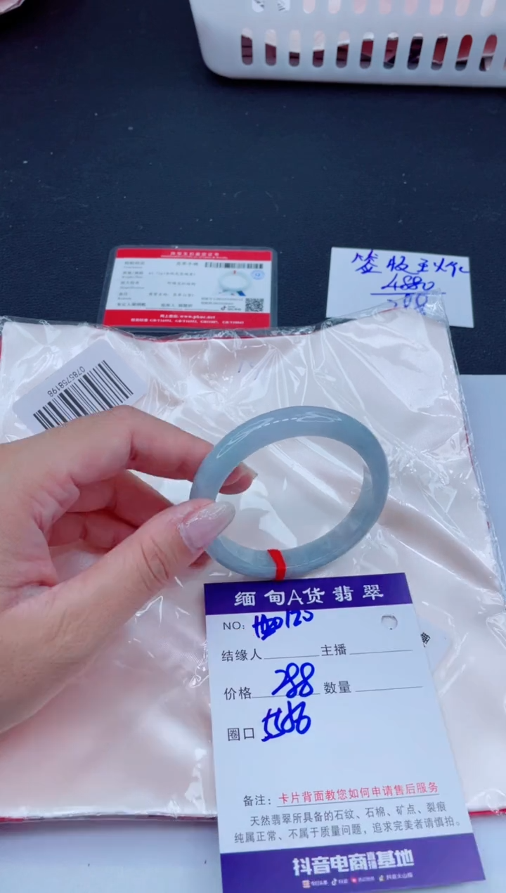 未镶嵌手镯翡翠288