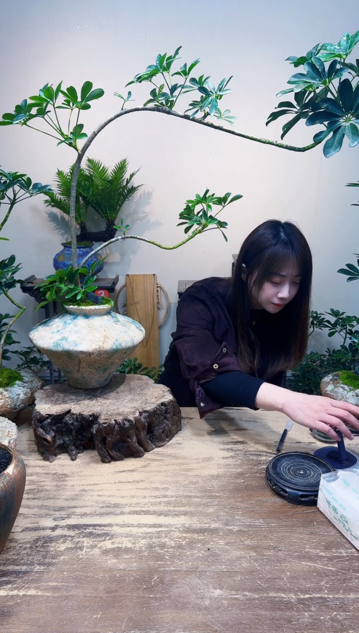 无花朵因*老朋友优惠价448