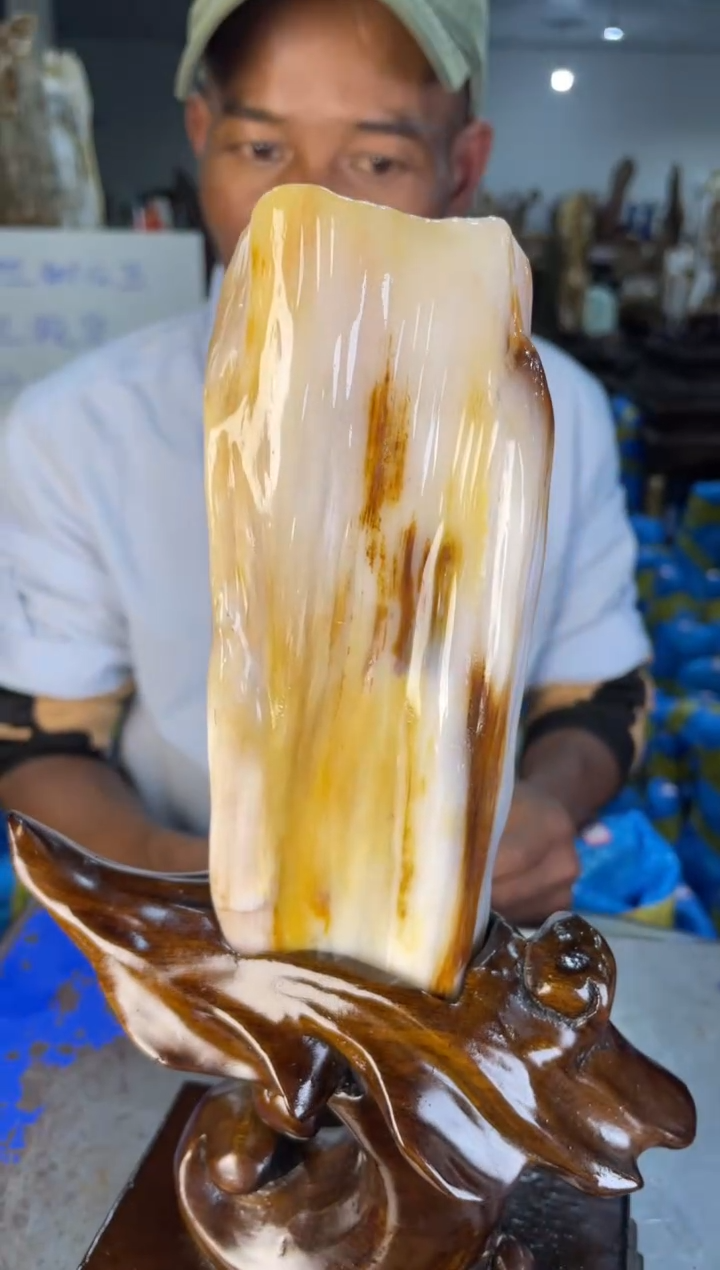 未镶嵌摆件硅化玉11