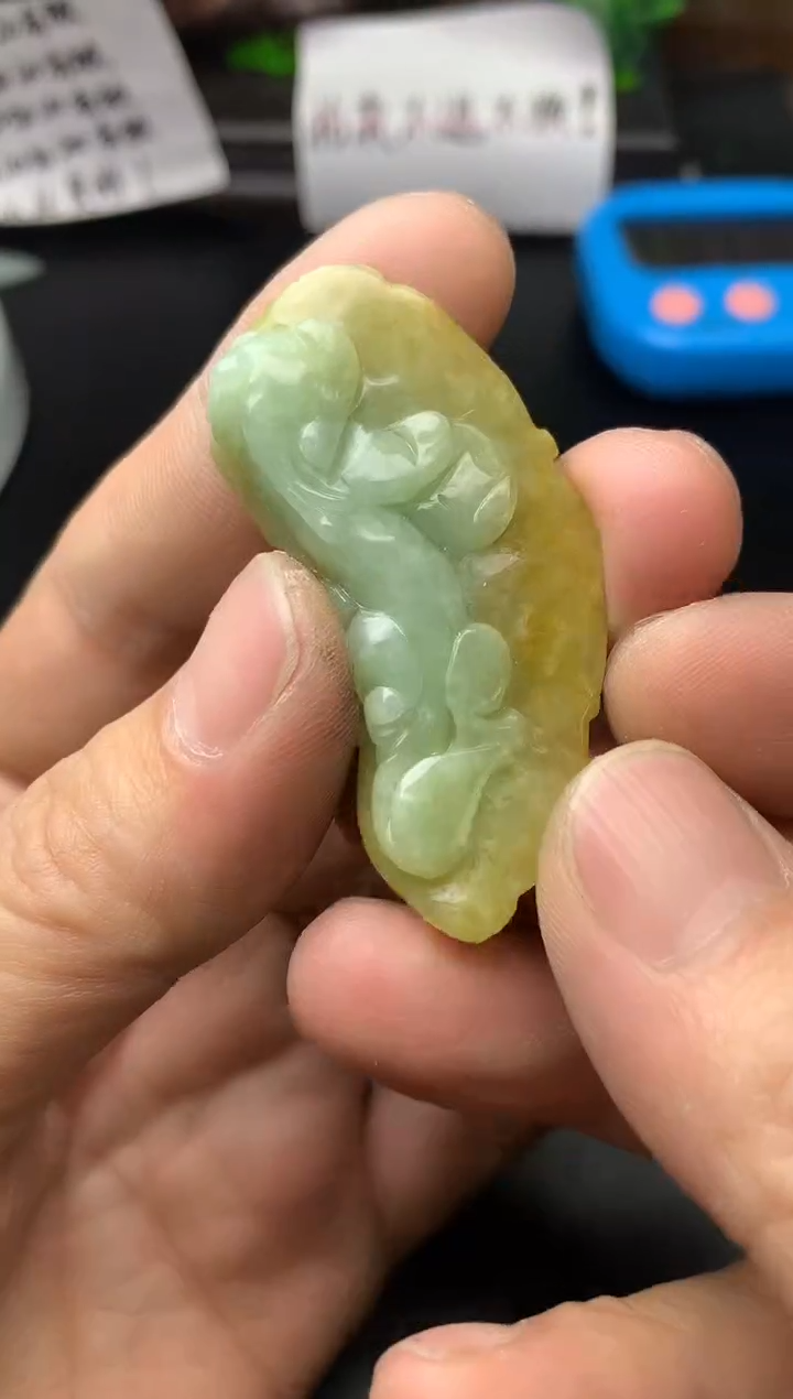 颈饰未镶嵌翡翠龙