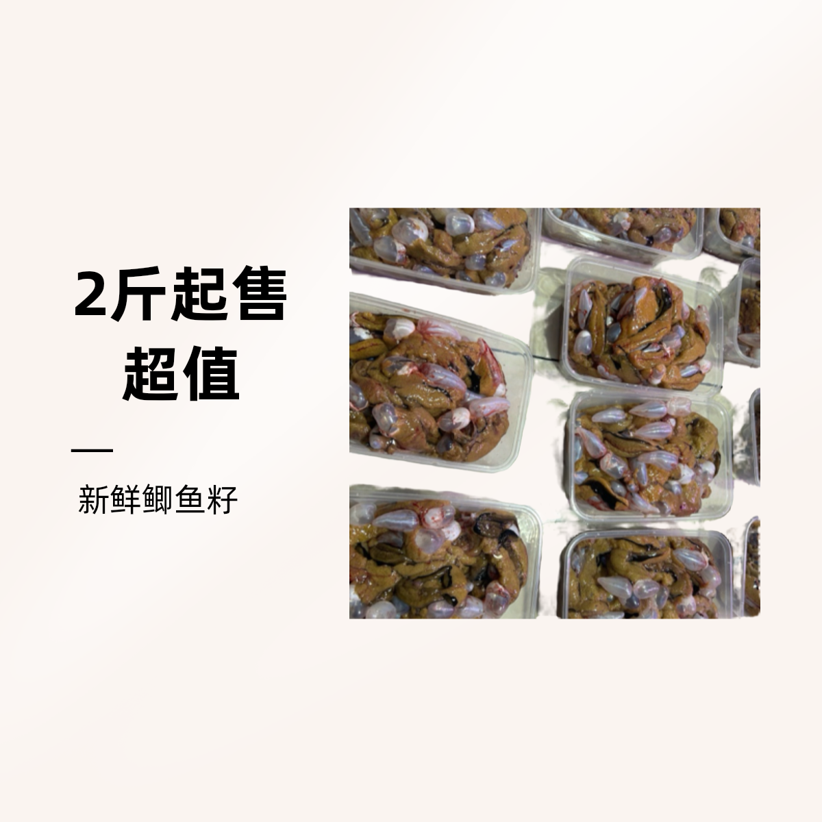 2斤装 新鲜鲫鱼籽冰鲜发货易散介意勿拍