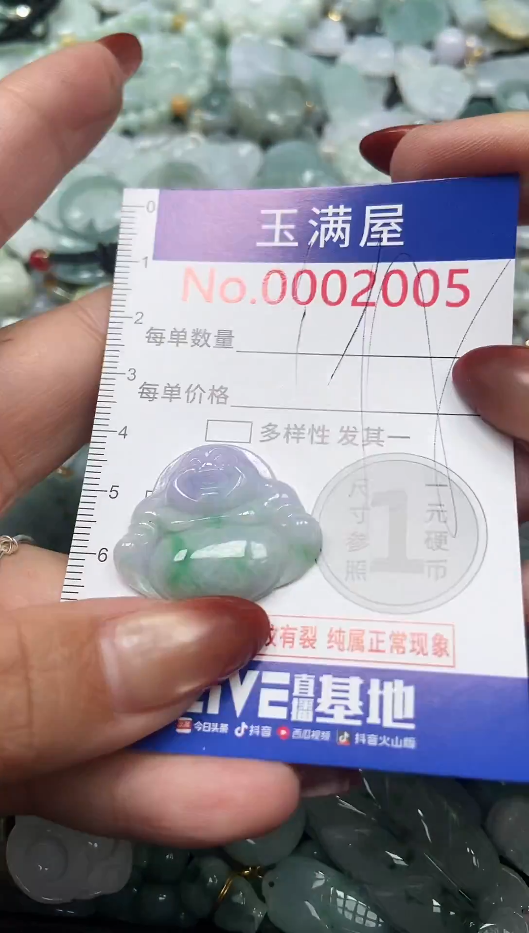 颈饰未镶嵌翡翠2005