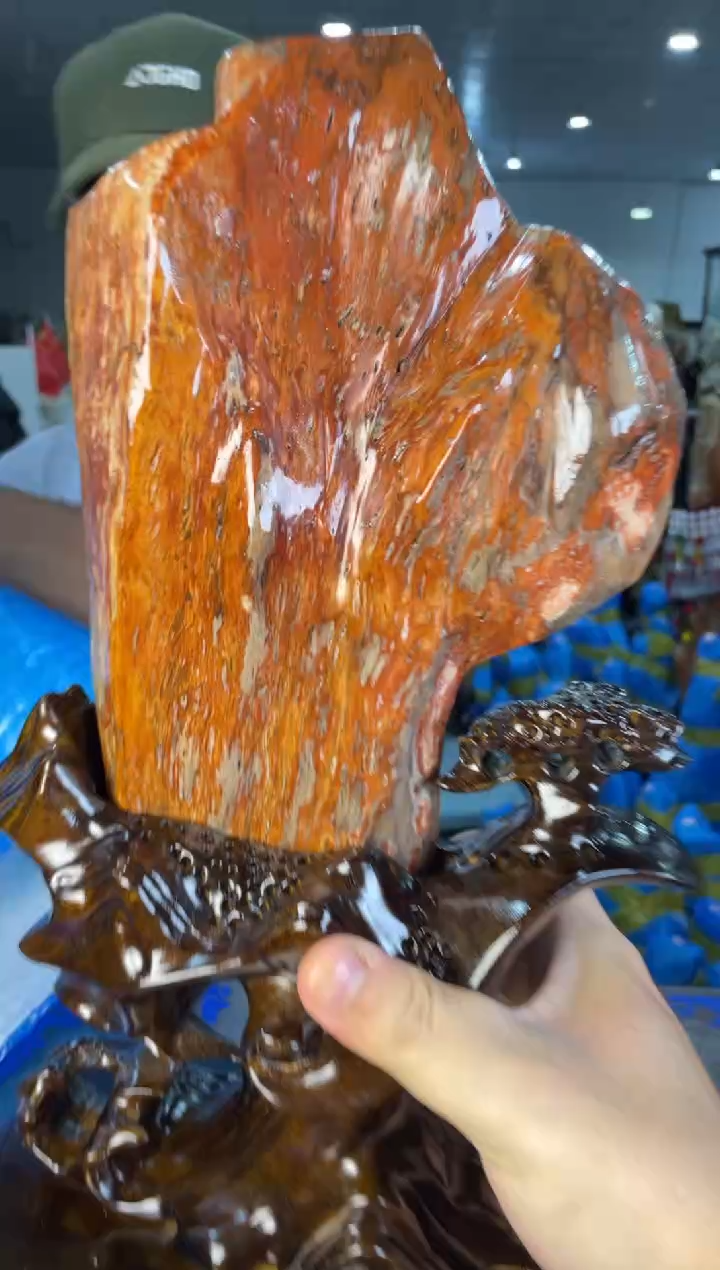 未镶嵌摆件硅化玉24