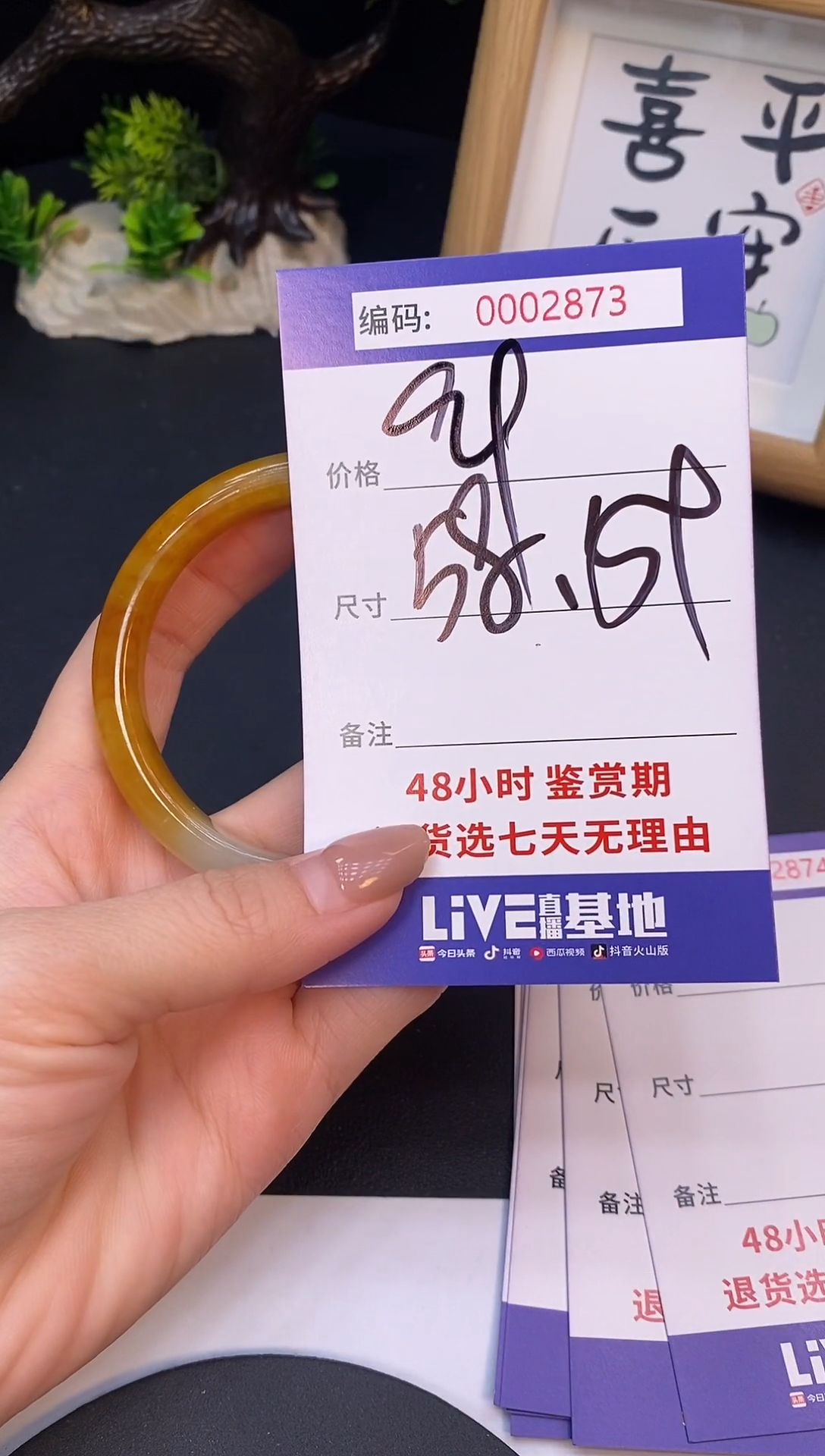 未镶嵌手镯翡翠0002873