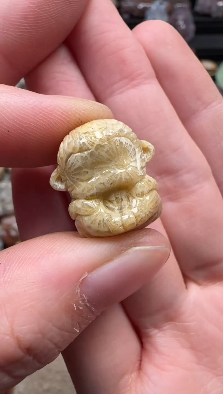 颈饰未镶嵌硅化珊瑚（珊瑚玉）077