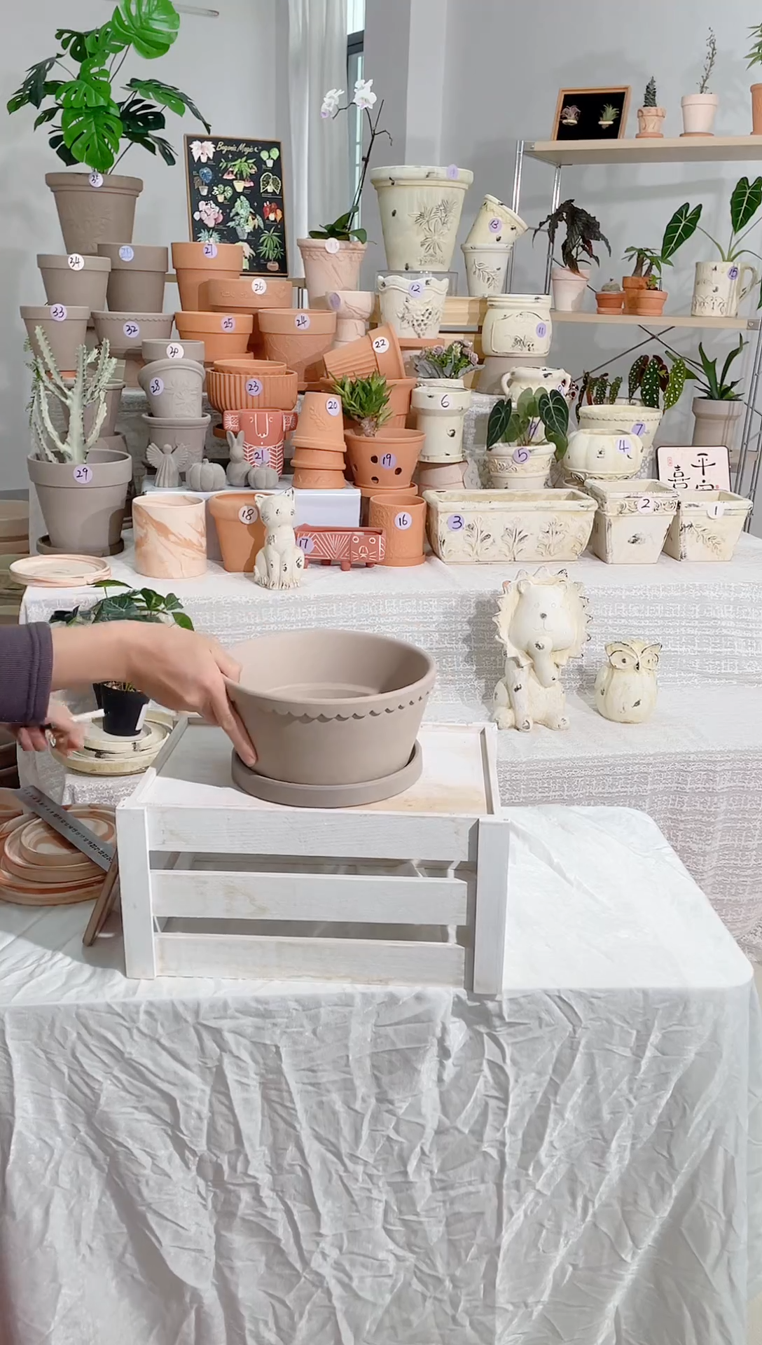 【闪购商品】陶1个带托 摩卡灰矮宽盆口径21*高10