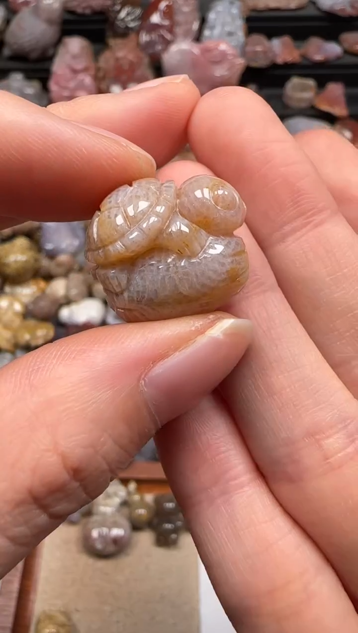 【闪购商品】硅化珊瑚（珊瑚玉）颈饰未镶嵌263