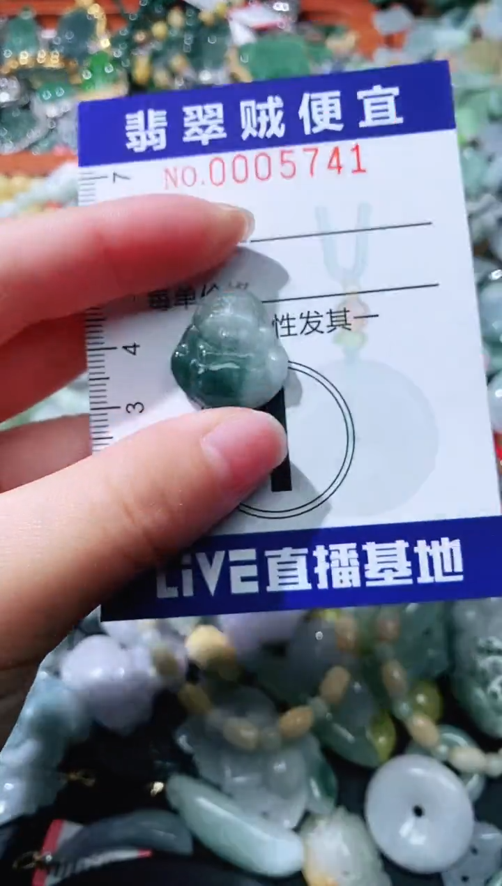 【闪购商品】翡翠颈饰未镶嵌闪购0005741