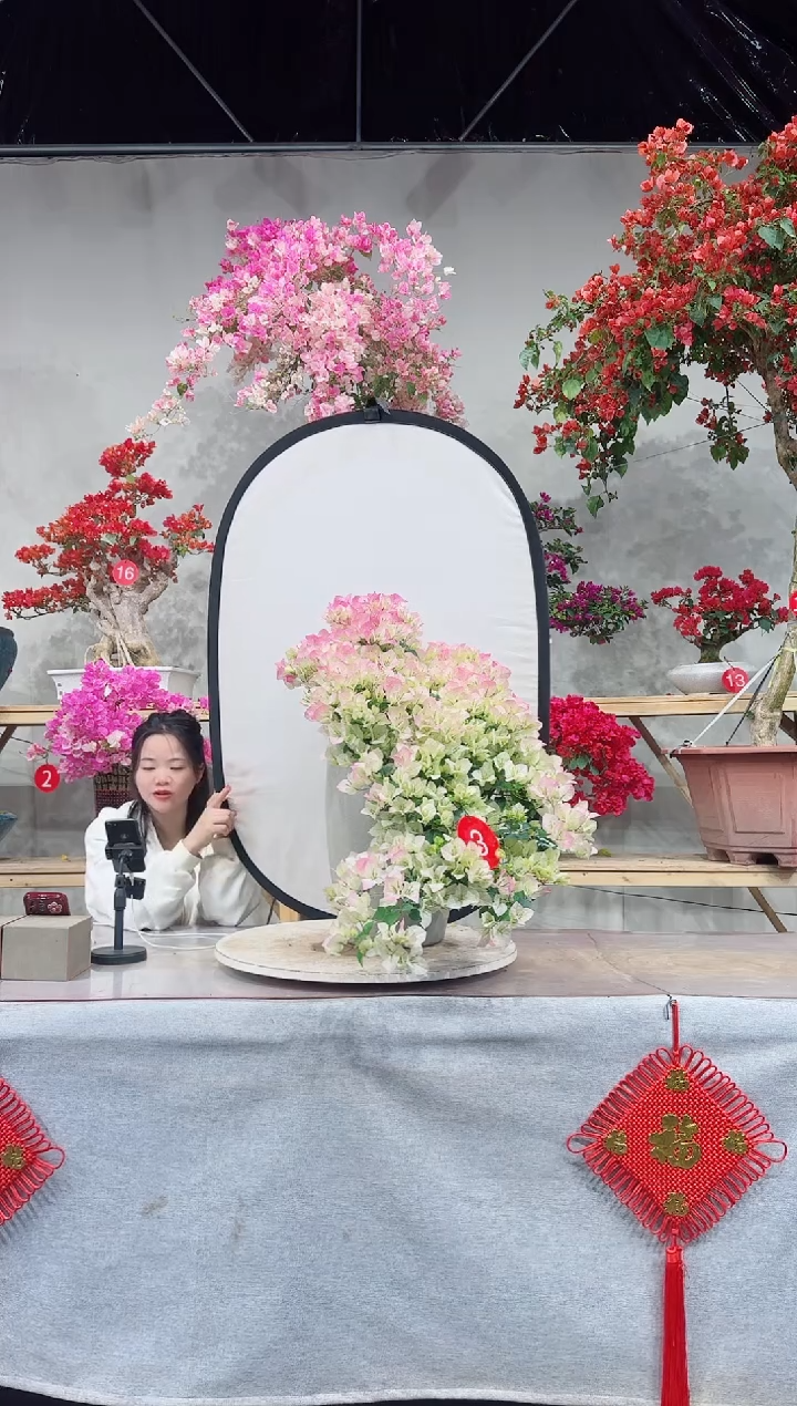 【闪购商品】盆景绿叶樱花