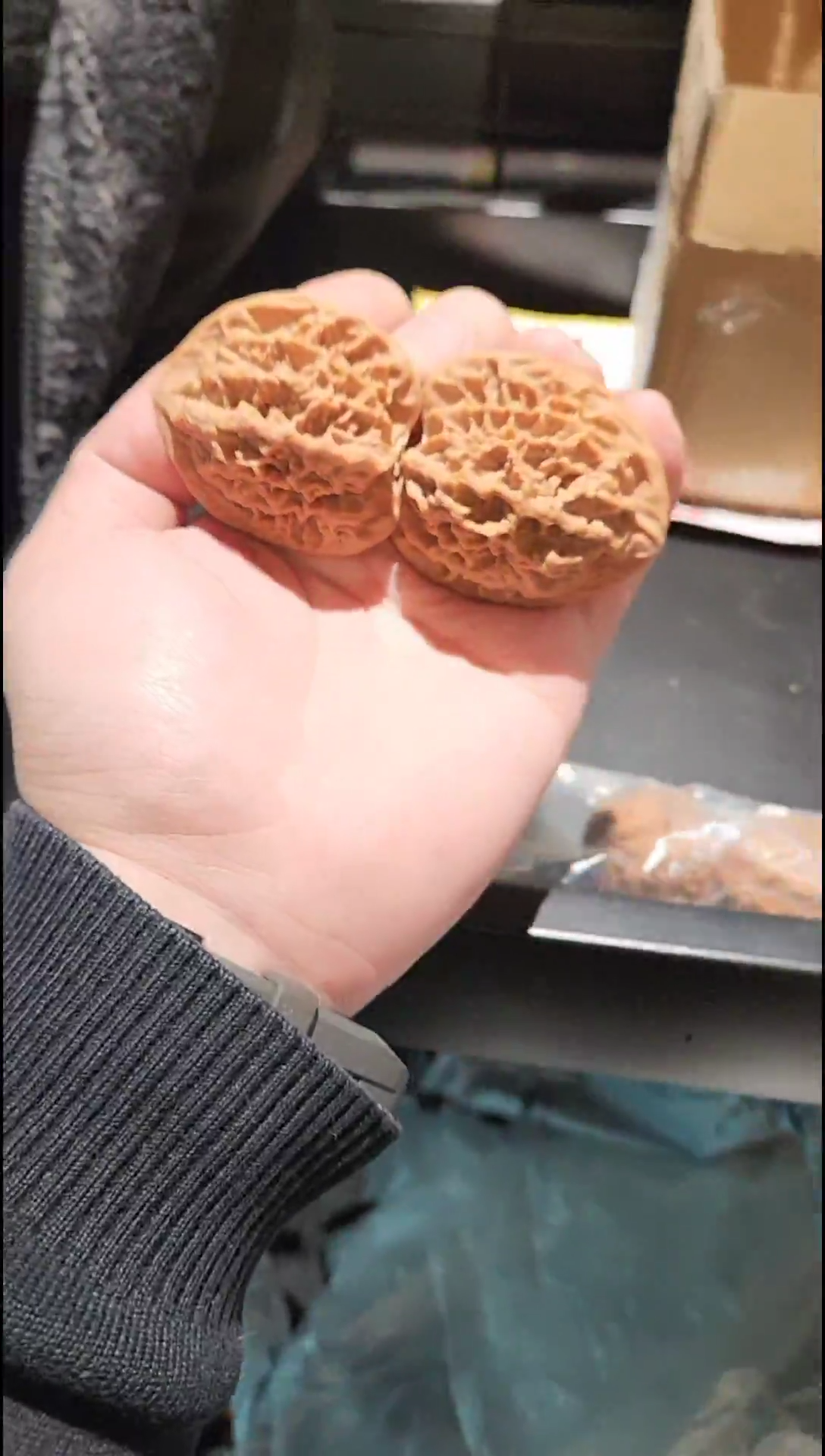 把件核桃福利【帝王狮子头】原生态无修#4619102