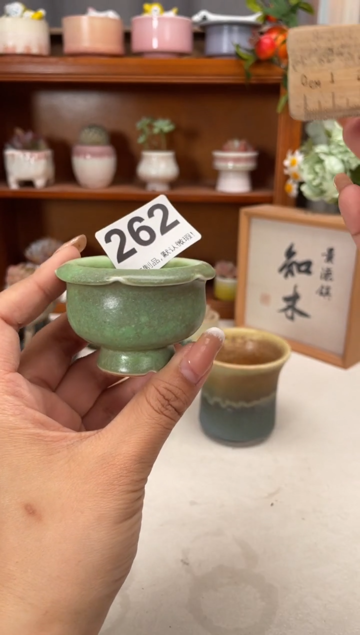 瓷片262知木小芳花盆编号