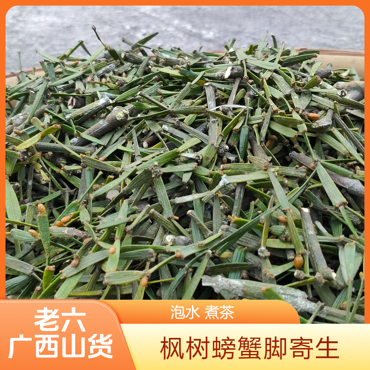  广西老六枫树螃蟹脚寄生深山采摘 自然晒干切段干货500克