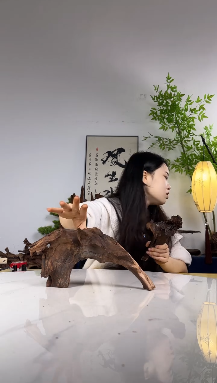 用****4拍沉木定向链接编号57