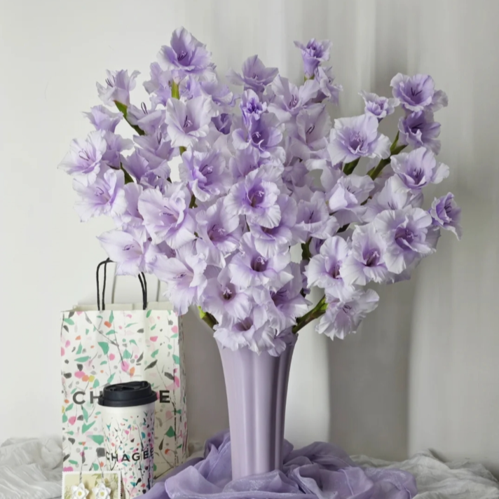 【今喜花舍】剑兰（香芋紫）  一单顺丰冷链包邮