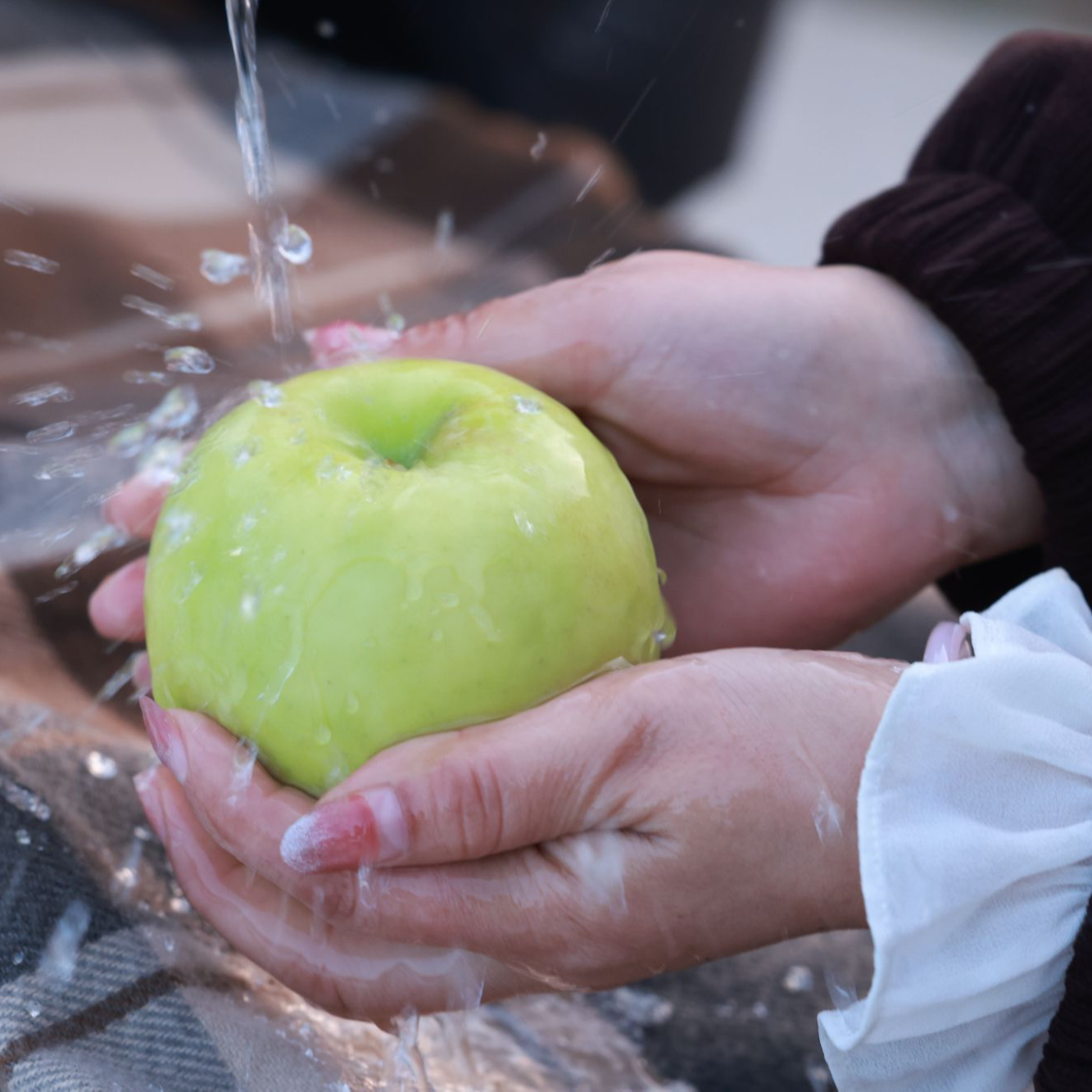 瑞雪12枚礼盒过年走亲访友