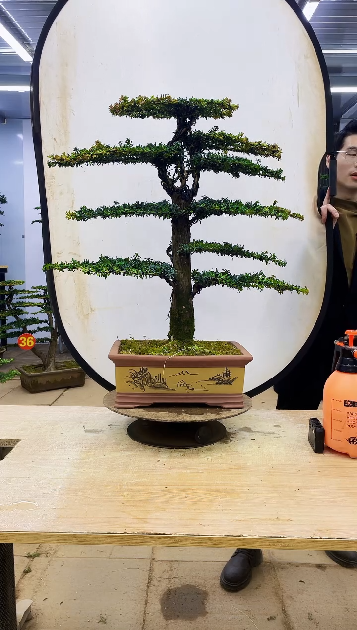 无花朵L***哥00000000000000000