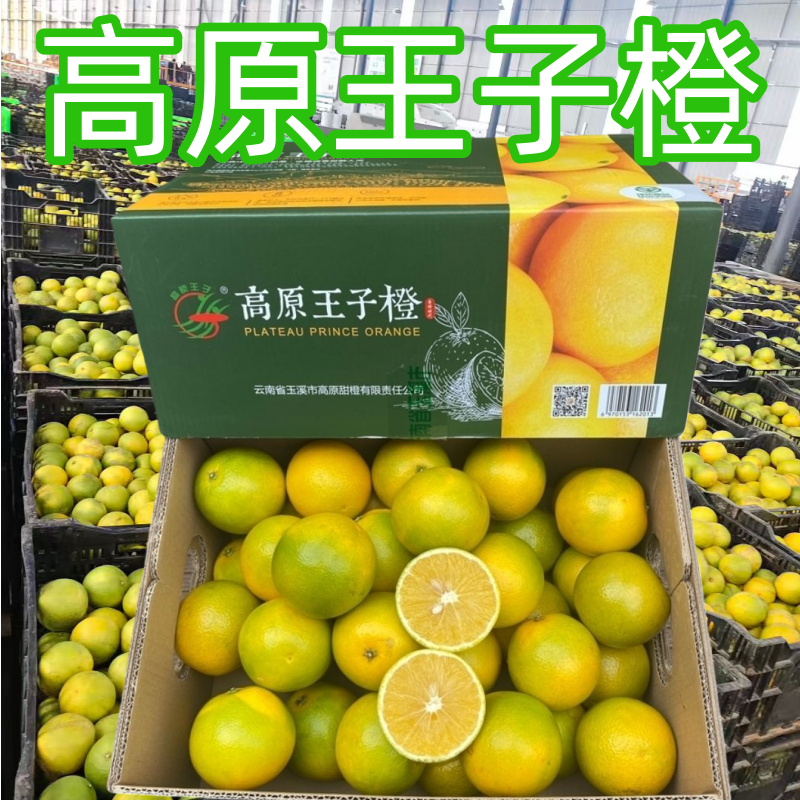 高原王子橙10斤云南玉溪新鲜手剥哀牢山冰糖橙孕妇水果原箱礼盒装