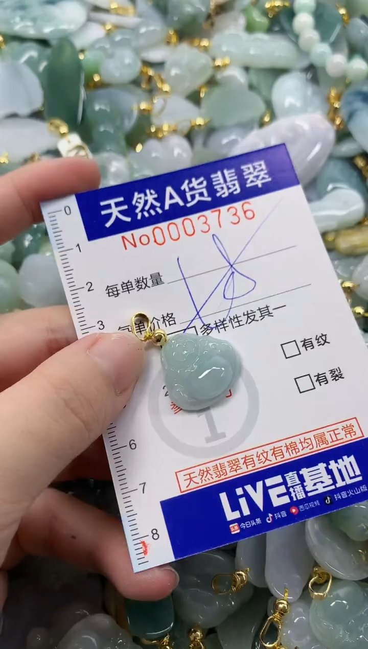 颈饰未镶嵌翡翠天然A货翡翠