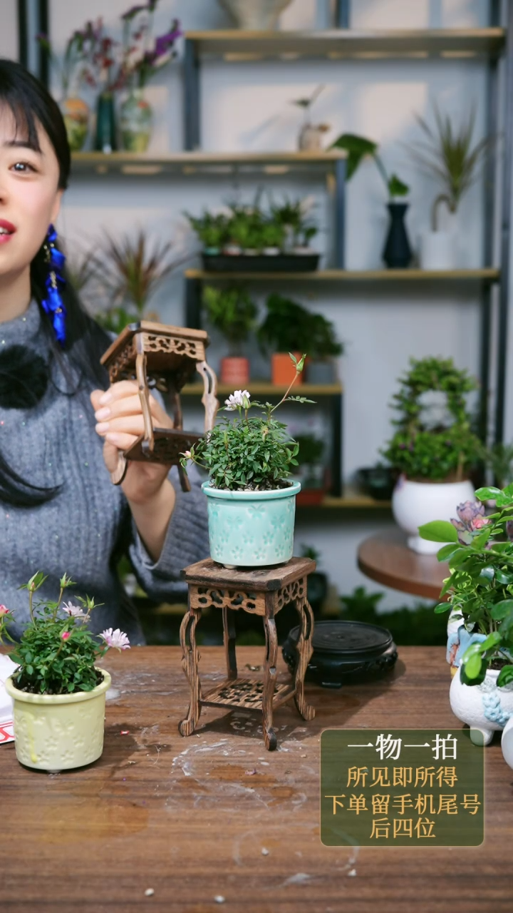 【闪购商品】97--8728海马几