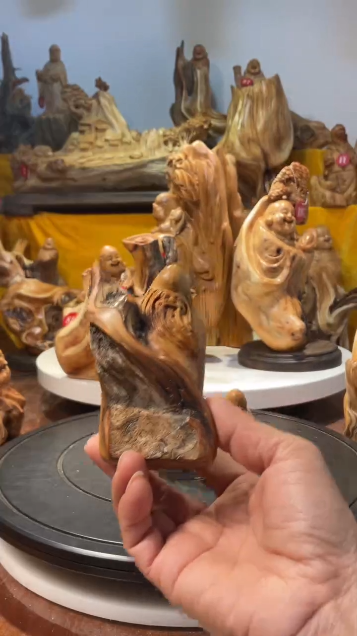 【闪购商品】柏木（崖柏）  寿星