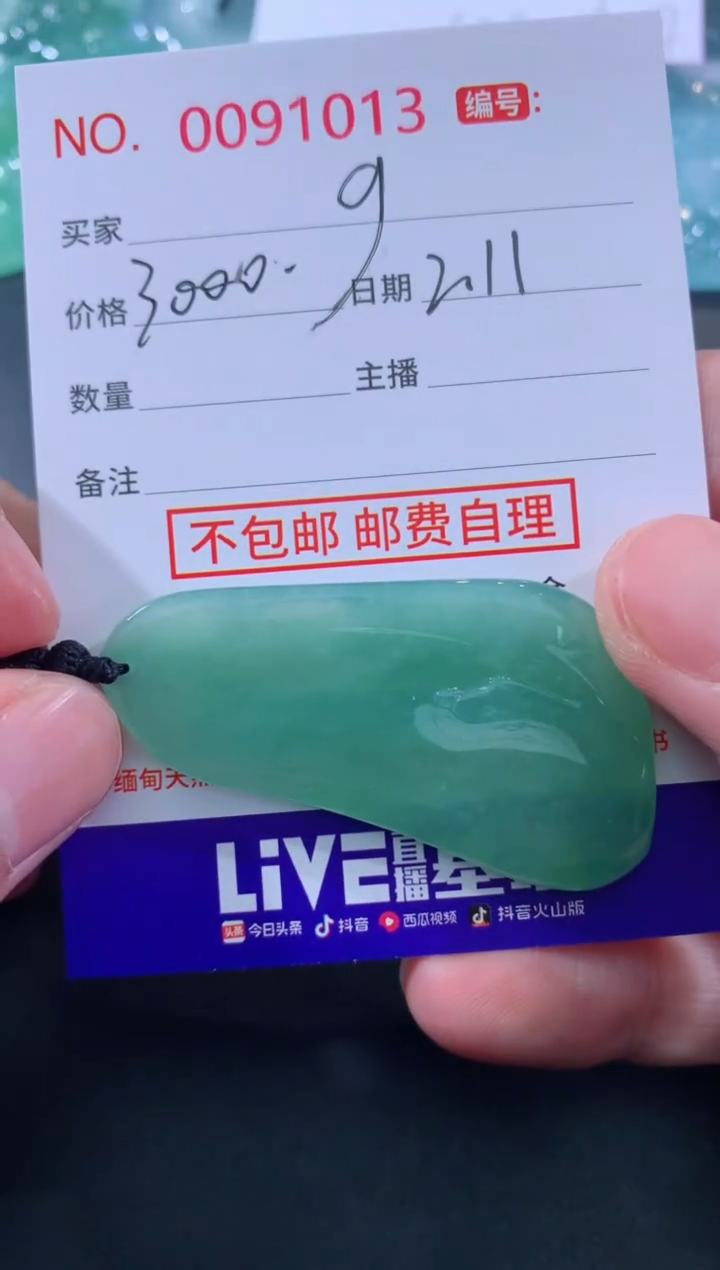 【闪购商品】翡翠颈饰未镶嵌g！！