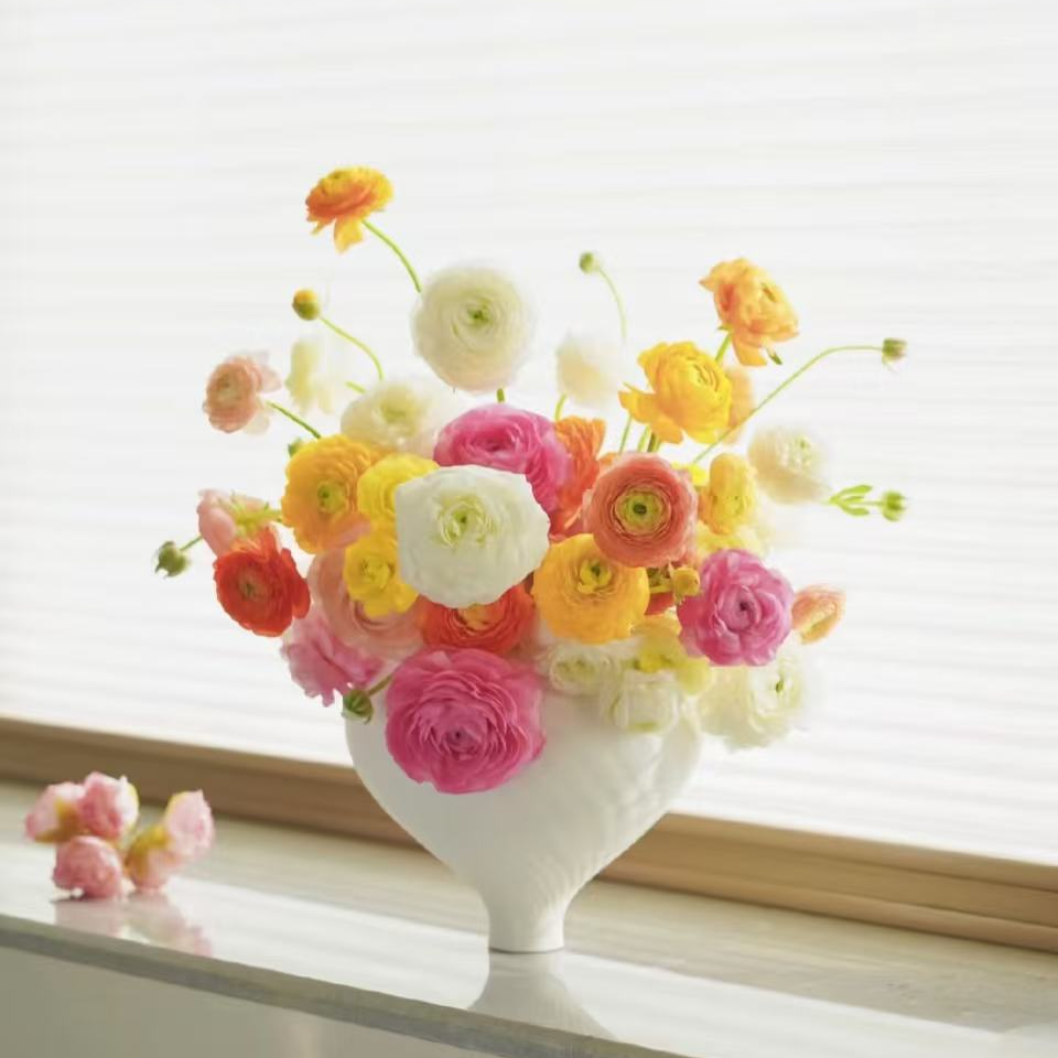 【花卉专属】洋牡丹混色 店内现货包邮