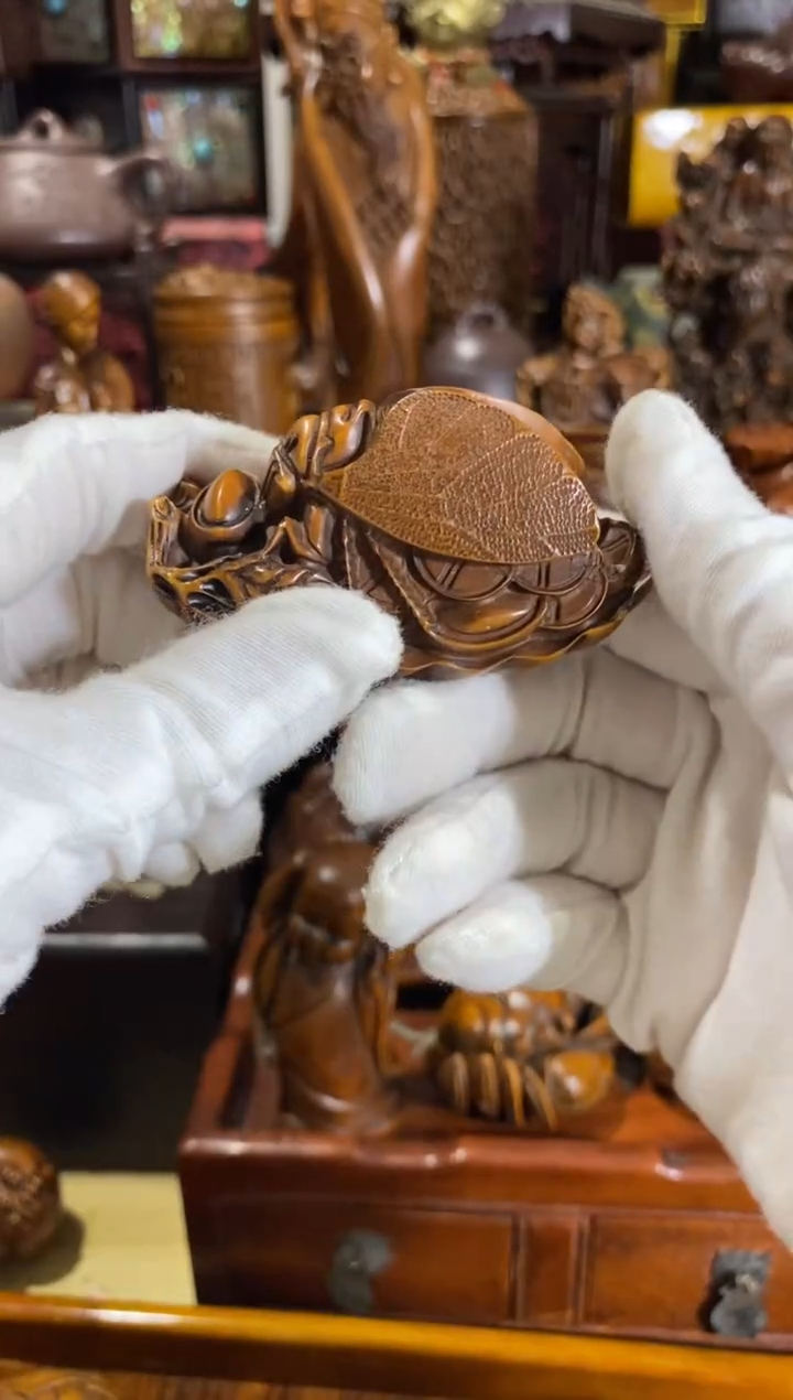 木小叶黄杨小件一鸣惊人