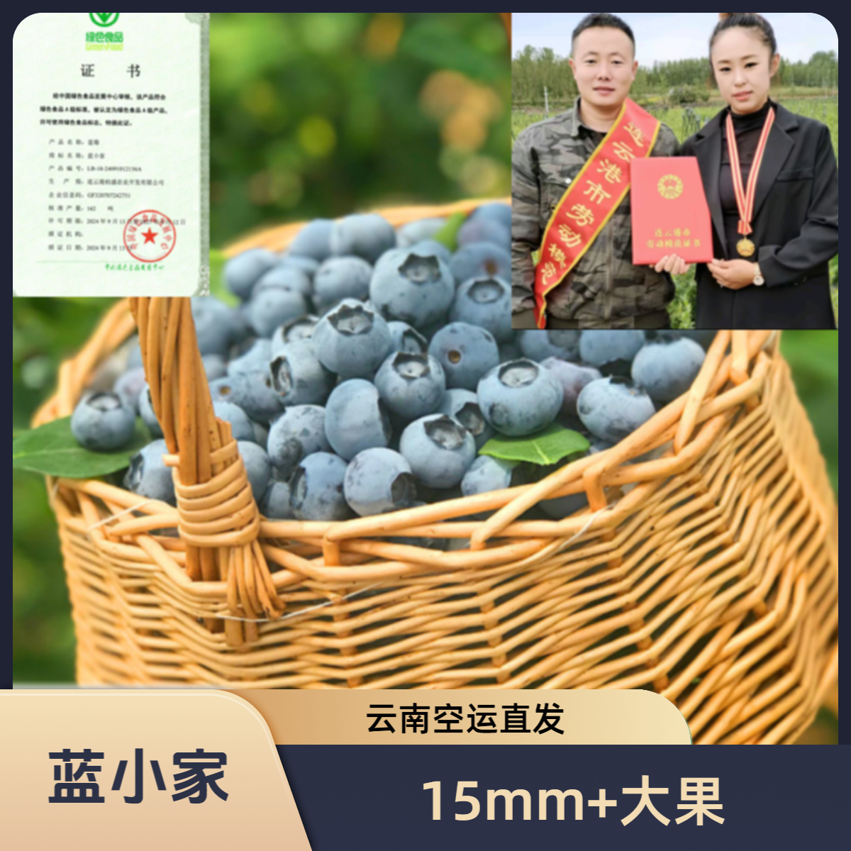 蓝小家大果A［15-18mm］云南高山新鲜蓝莓现摘现发（孕妈宝宝专享）