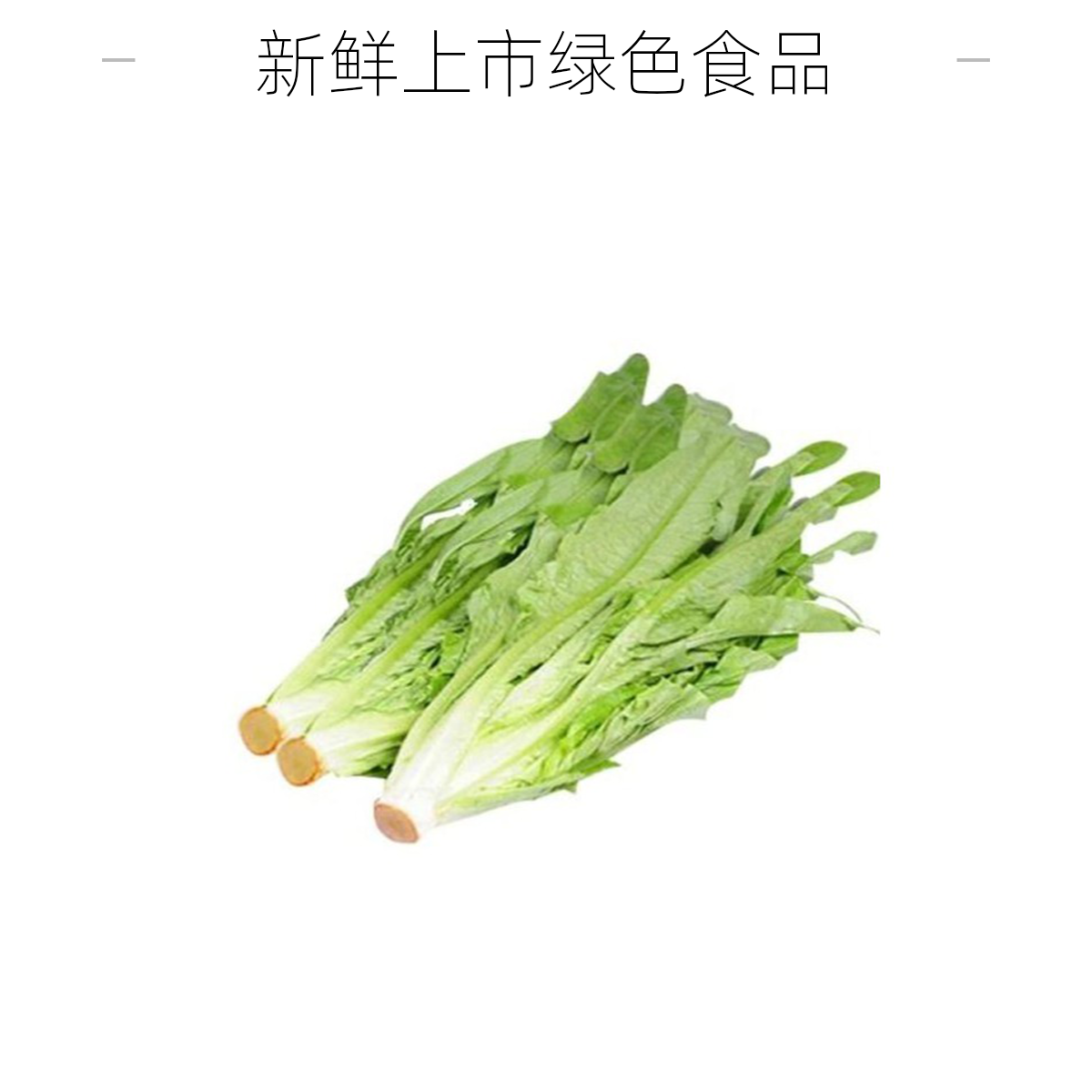 油麦菜400-500g