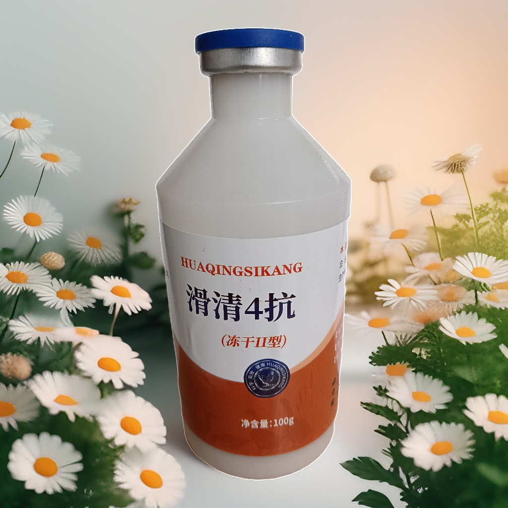 鸡生殖型滑液囊支原体的克星 4联抗防治一体 养鸡必备冻干粉