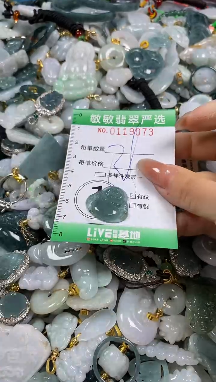 【闪购商品】翡翠颈饰未镶嵌闪购0119073