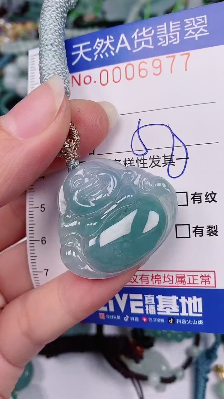 【闪购商品】翡翠颈饰未镶嵌00006977