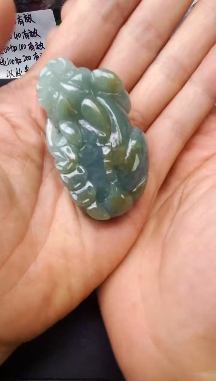 颈饰未镶嵌翡翠李*，貔貅