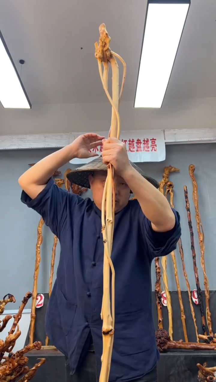 【闪购商品】黑果木其他黑果木587