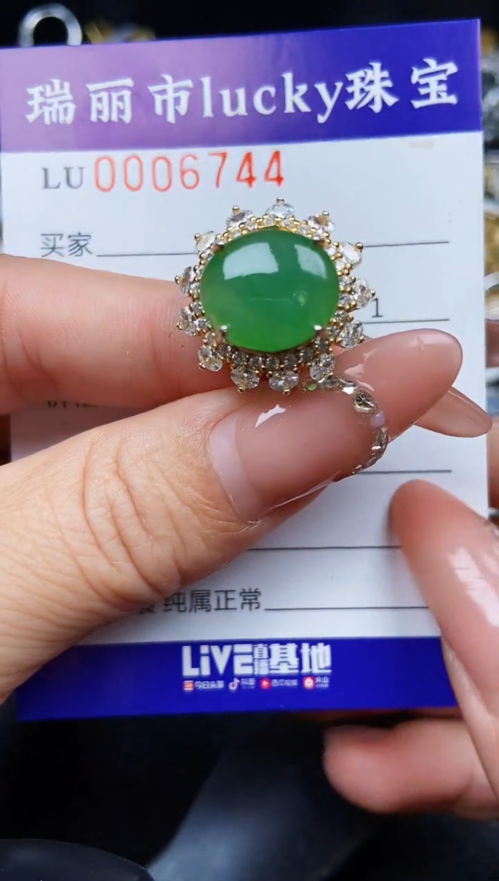 翡翠银S925镶嵌颈饰6744