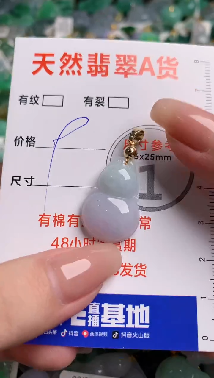 翡翠未镶嵌颈饰24002216