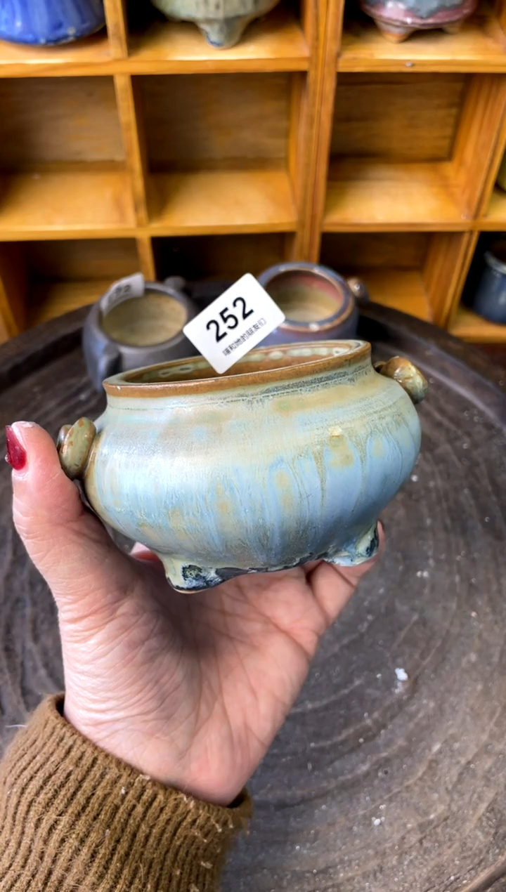 【闪购商品】陶252 内口6.5【喵喵团圆多肉盆】