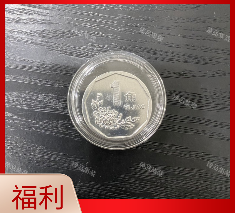 退市大菊花壹角