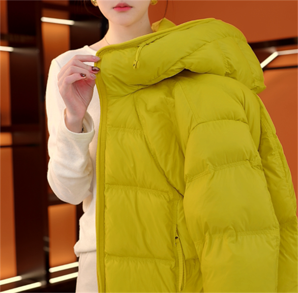 （甄选大朵鸭绒）2025正品精致带帽羽绒服气质轻奢加厚保暖外套