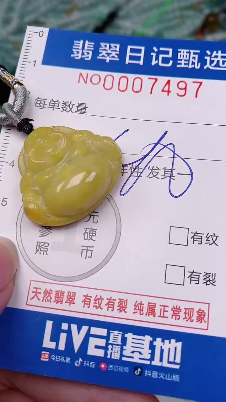 【闪购商品】翡翠颈饰未镶嵌00007497