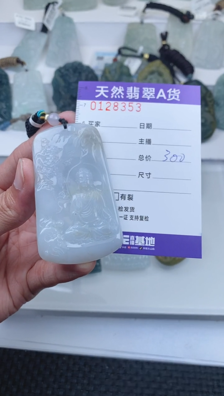 【闪购商品】翡翠颈饰未镶嵌      353