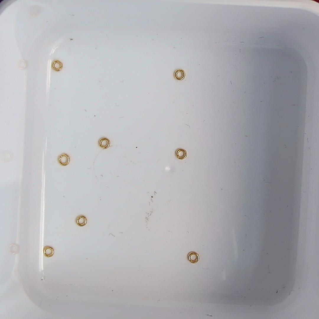 黄金足金小金 豆