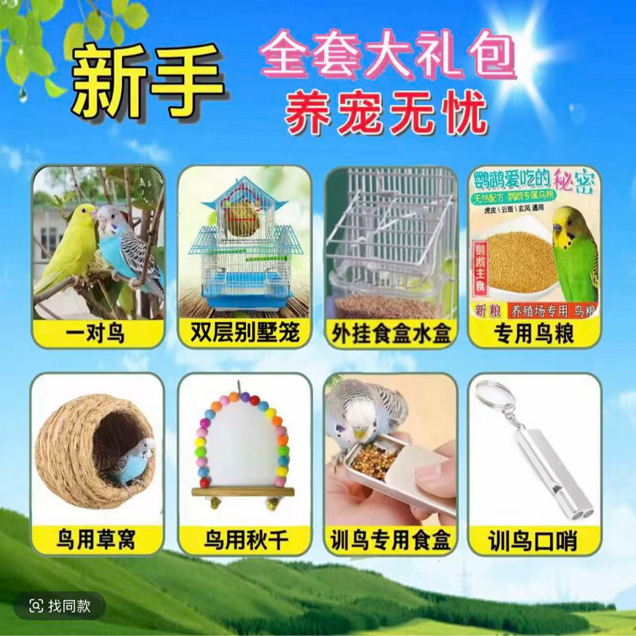 鹦鹉活鸟活物鹦鹉小鸟活鸟会学说话的鸟类手养鸟宠物鸟