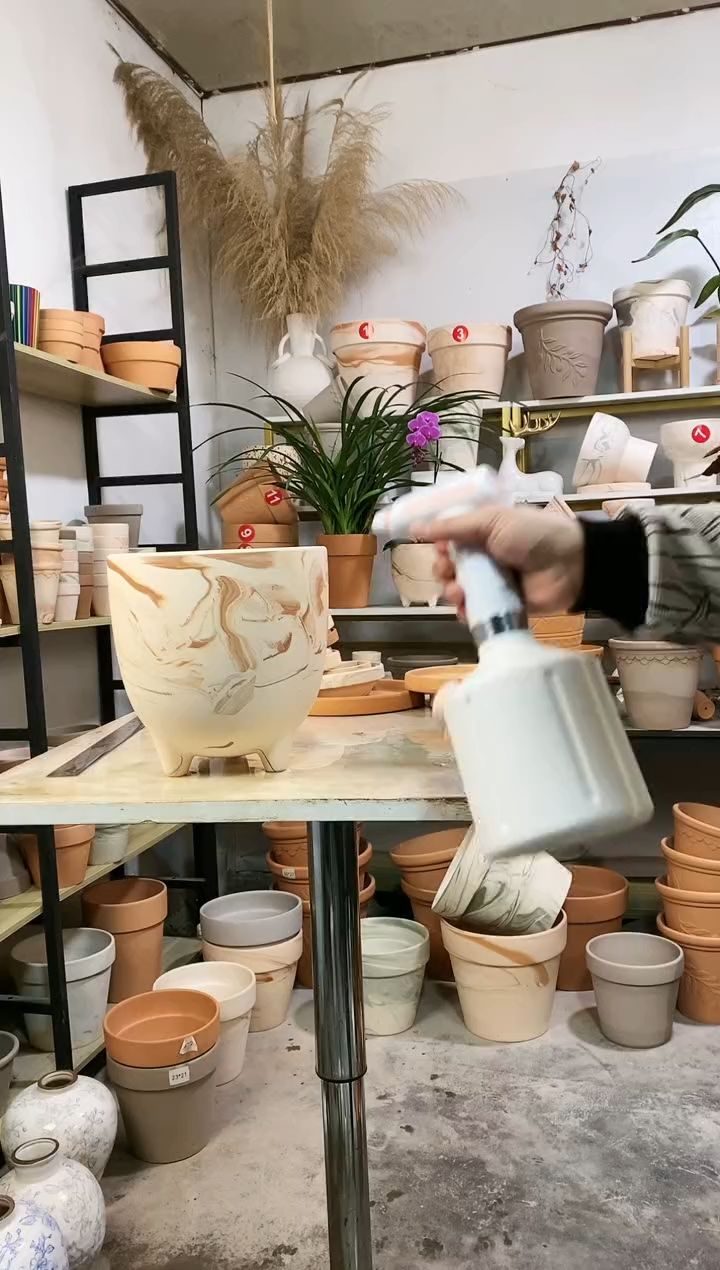 【闪购商品】红陶21*21.5玛奇朵蛋壳 1盆无托